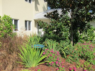 The magnolia tree and garden planted in Anne's memory in...